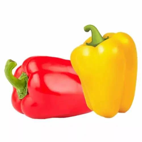 فلفل رومي احمر و اصفر  800غ
