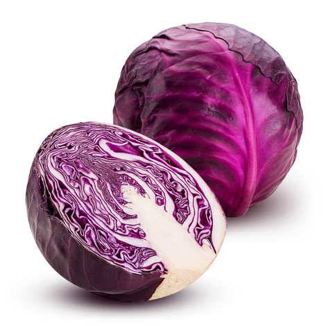 ملفوف احمر