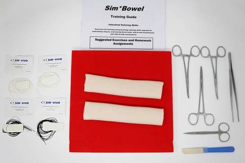 SimBowel Learning System
