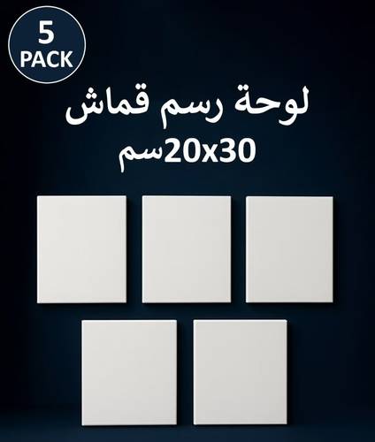 5 Pack Canvas Boards for Painting - Pre-stretched Cotton Canvas, White, Ideal for Acrylic, Oil and Wet Art - Assorted Sizes.