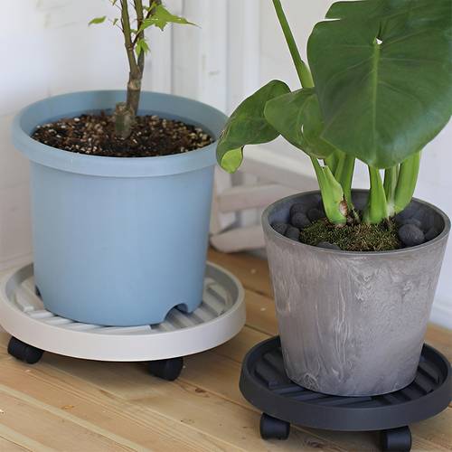 Multi-Purpose Flower Stand and Plastic Water Tray for Indoor and Outdoor Gardens - Multiple Colors and Sizes