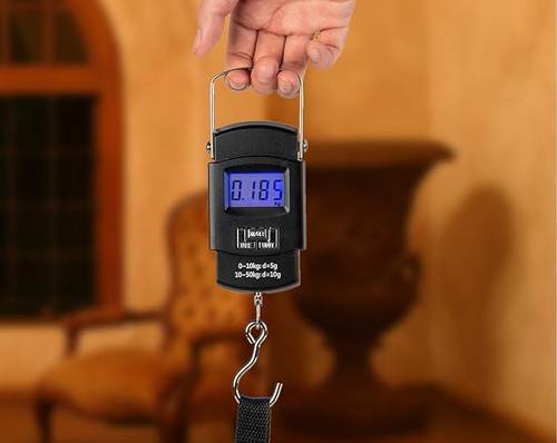 Portable Electronic Digital Scale, 50KG Electronic LCD Display Scale Spring Scale with Hook for Luggage Postal Parcel Weighing