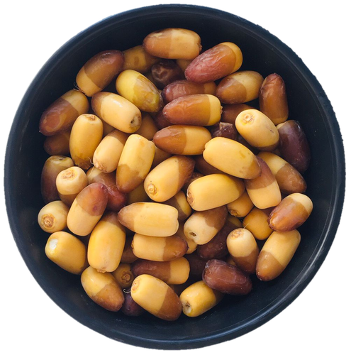 سلج مناصيف الحوطة