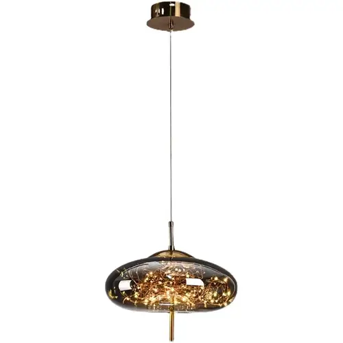 ثريا سقف زجاجية حديثة LED