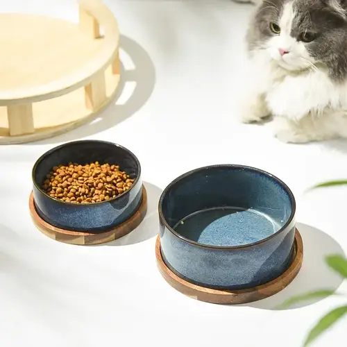 وعاء طعام سيراميك مرتفع للقطط والكلاب لحماية العمود الفقري مضاد للانقلاب