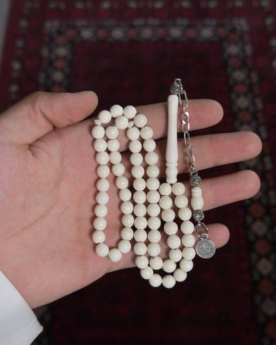 مسباح عظم الجمل بشكة انتيمون تفصال اجام نجد