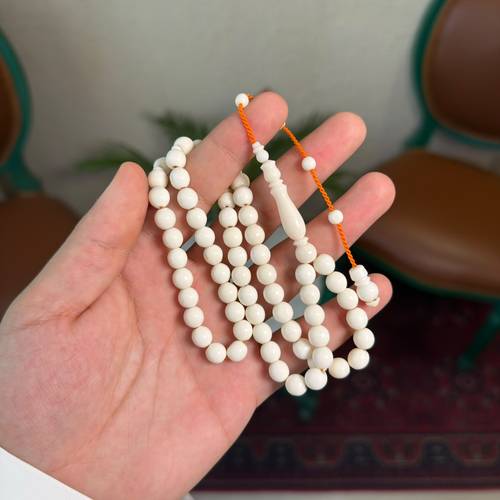 مسباح عظم جمل