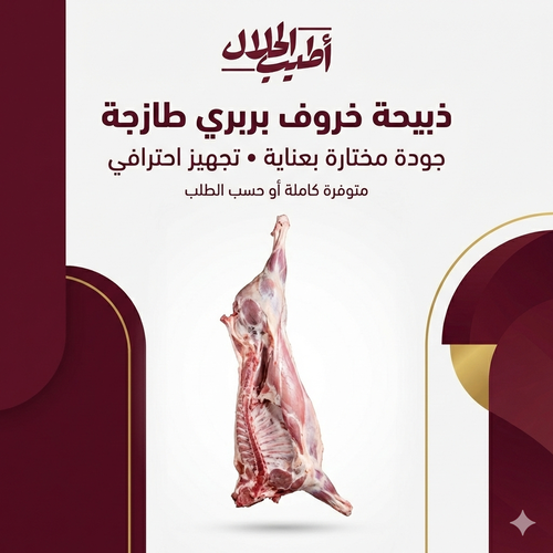 خروف بربري بلدي