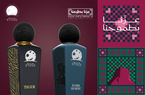عرض اليوم الوطني 95