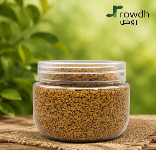 حلبة