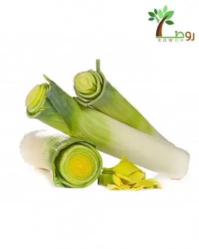 بذور الكراث 