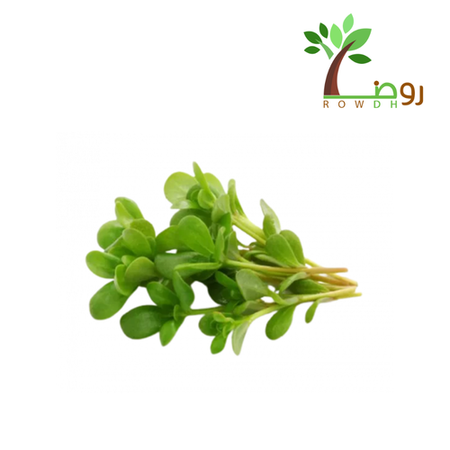 بذور الرجلة