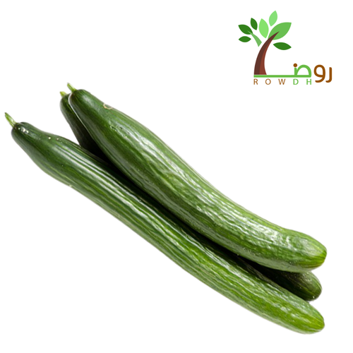 بذور الخيار