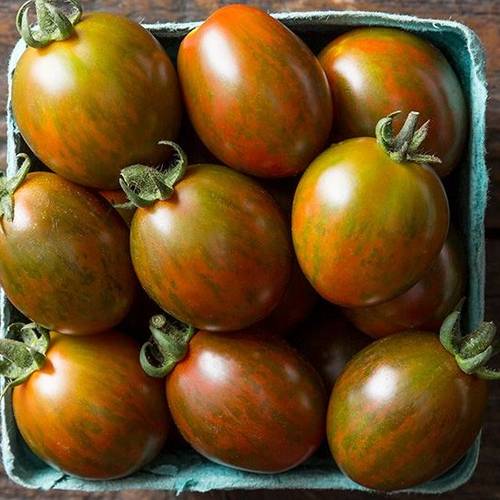 CHOCOLINA F1