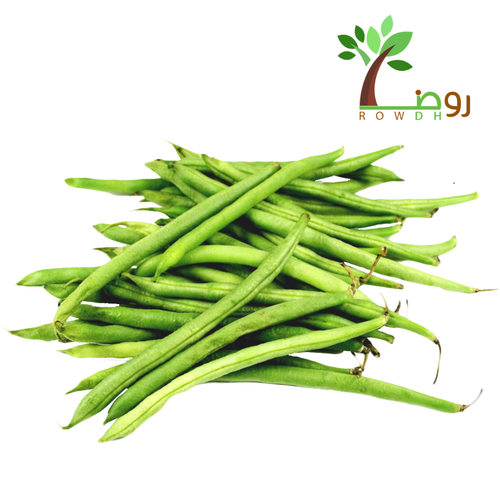 بذور اللوبيا