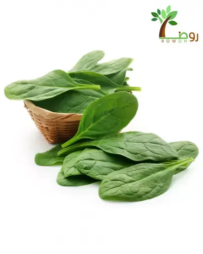 بذور السبانخ