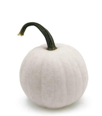 SNOWBALL F1