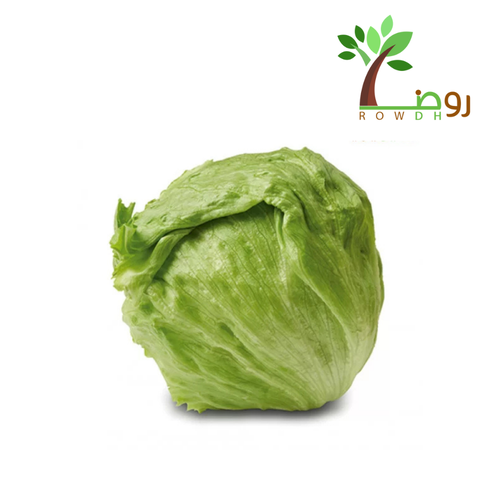 بذور الخس الأمريكي