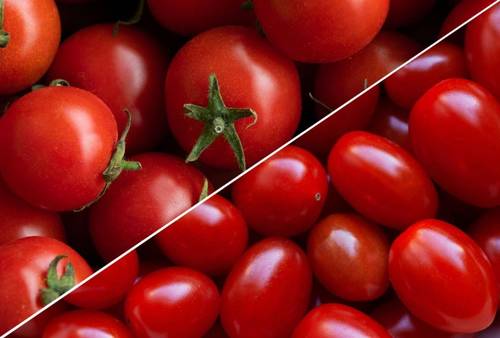 Cherry Grape Tomato