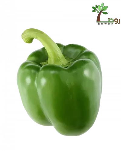 بذور الفلفل بارد