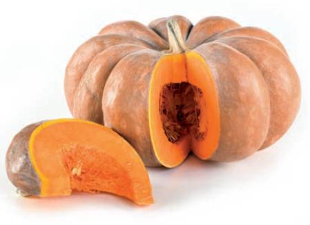MOSCATA DI PROVENZA