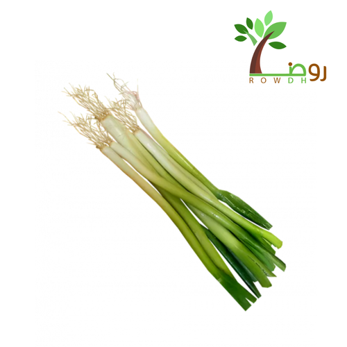 بذور البصل الأخضر