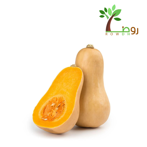 بذور القرع الأمريكي