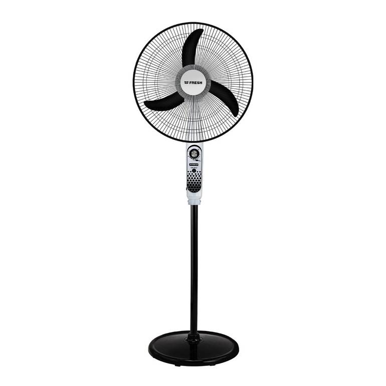 FRESH FAN -SPBD18
