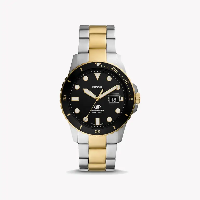 FOSSIL WATCH | FS5951