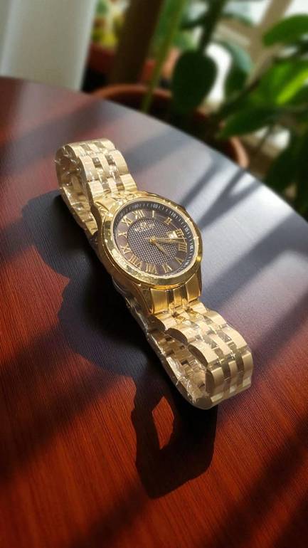 WESTERN W6427LGP010C Â€“ GOLD WOMEN'S WATCH WITH MESH STRAP