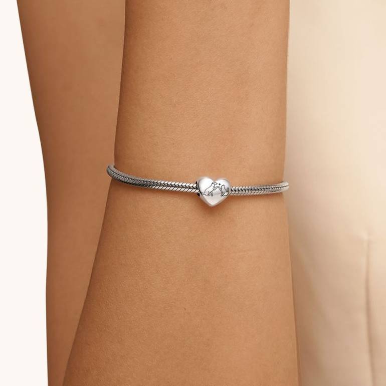 Gnoce Love Cat & Dog Heart Charm