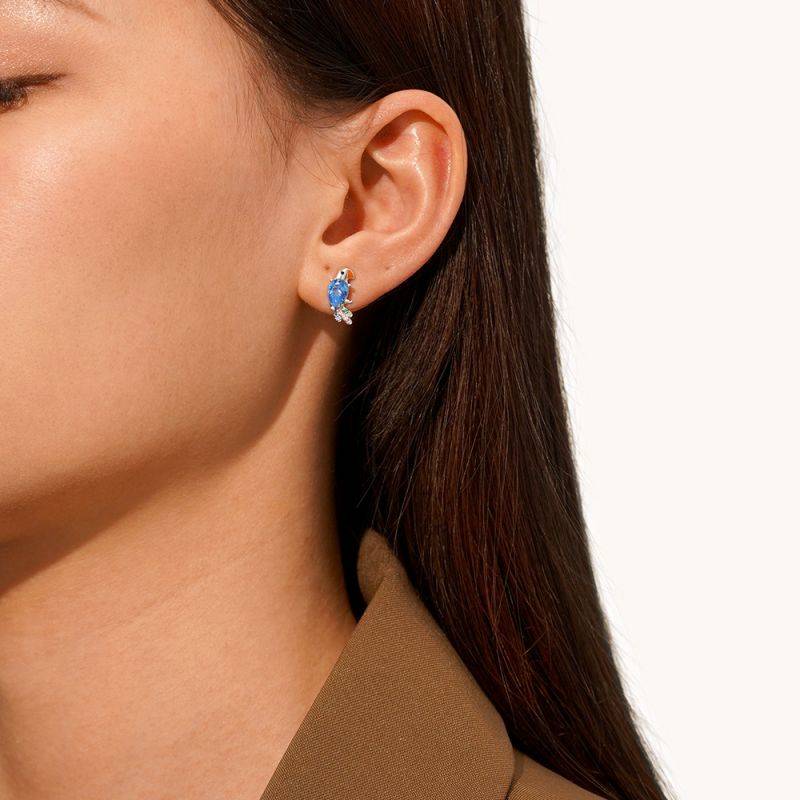 Gnoce Parrot Stud Earrings
