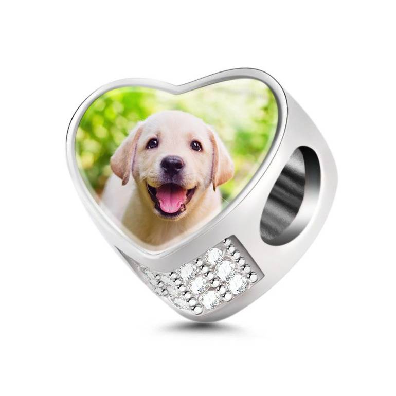 Sterling Silver Puppy Photo Charm Clear CZ Photo Custom Memory Jewelry Bead