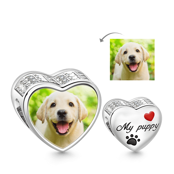Sterling Silver Puppy Photo Charm Clear CZ Photo Custom Memory Jewelry Bead