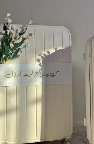 شريطة للشنطة الدبش