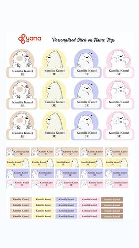 Ice Bear