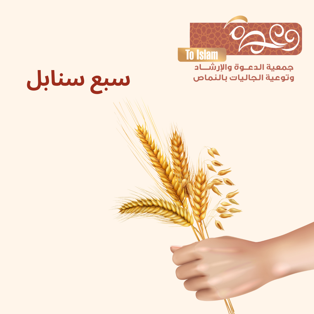 سبع سنابل