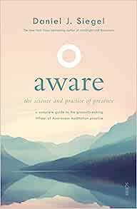 Aware: the science and practice of presence - a complete guide to the groundbreaking Wheel of Awareness meditation practice