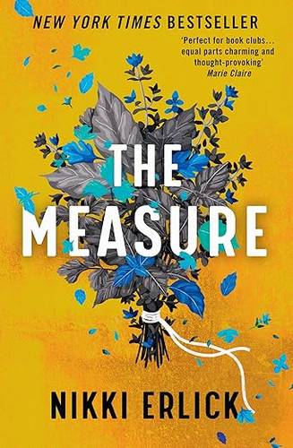 The Measure: The Instant New York Times Bestseller Paperback – 25 May 2023 by Nikki Erlick