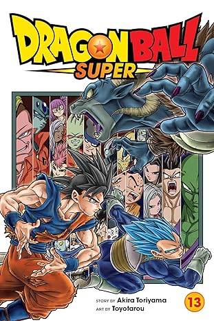 Dragon Ball Super, Vol. 13