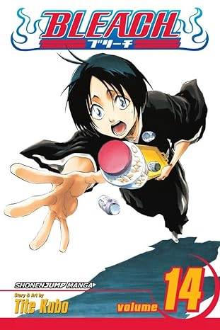 BLEACH GN VOL 14 (CURR PTG) (C: 1-0-0)                      