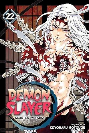 DEMON SLAYER KIMETSU NO YAIBA GN VOL 22 (C: 0-1-2)          