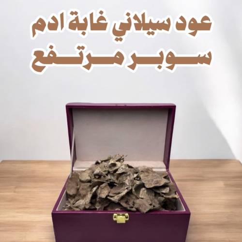 عود سيلاني غابة ادم سوبر مرتفع