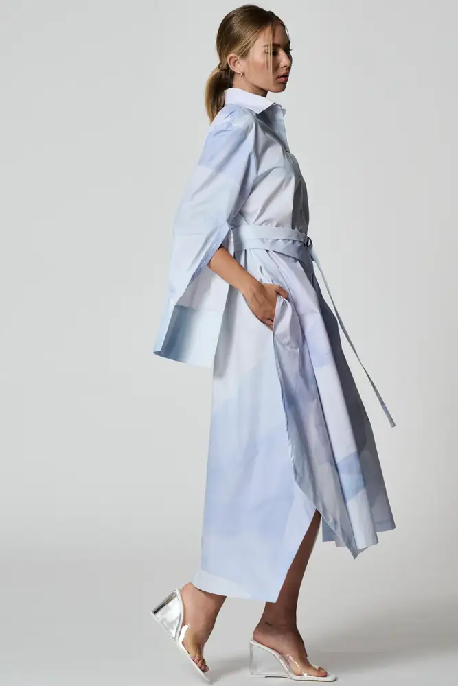 Olexa dress