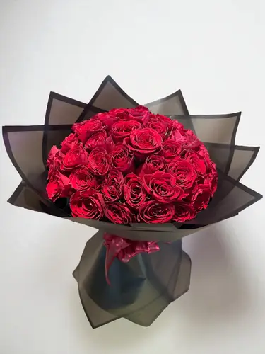 أناقة الأحمر