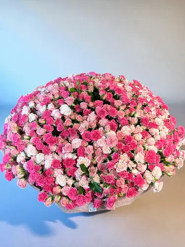 عبير الربيع