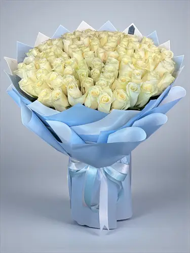 بياض الندى