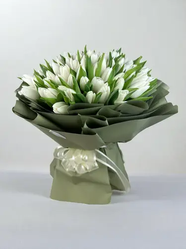 ندى الفجر