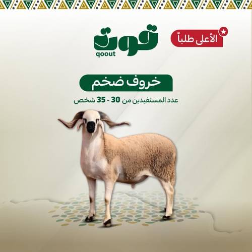خروف ضخم