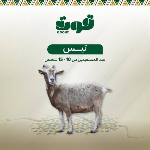 تيس